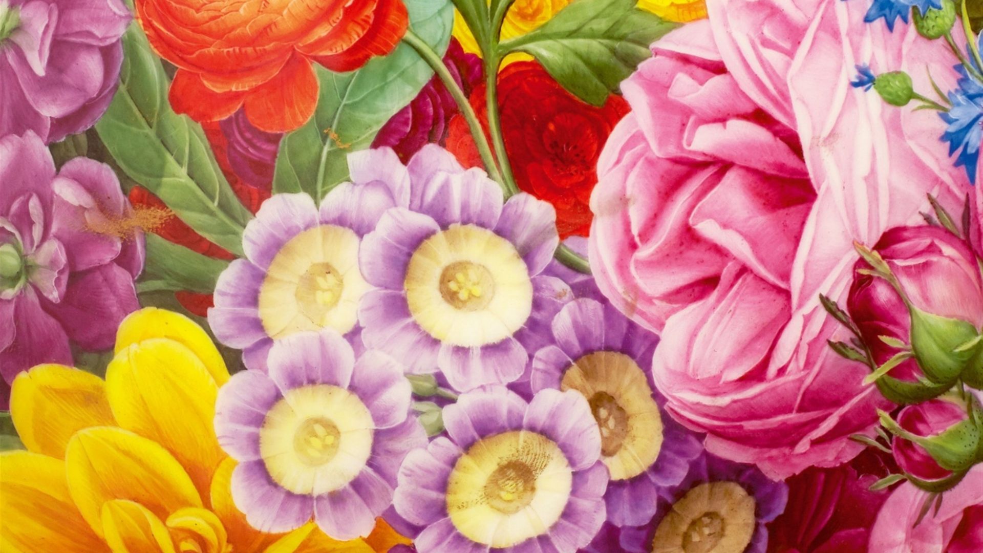 Colorful Spring Flowers Wallpapers HD Wallpapers Backgrounds Images